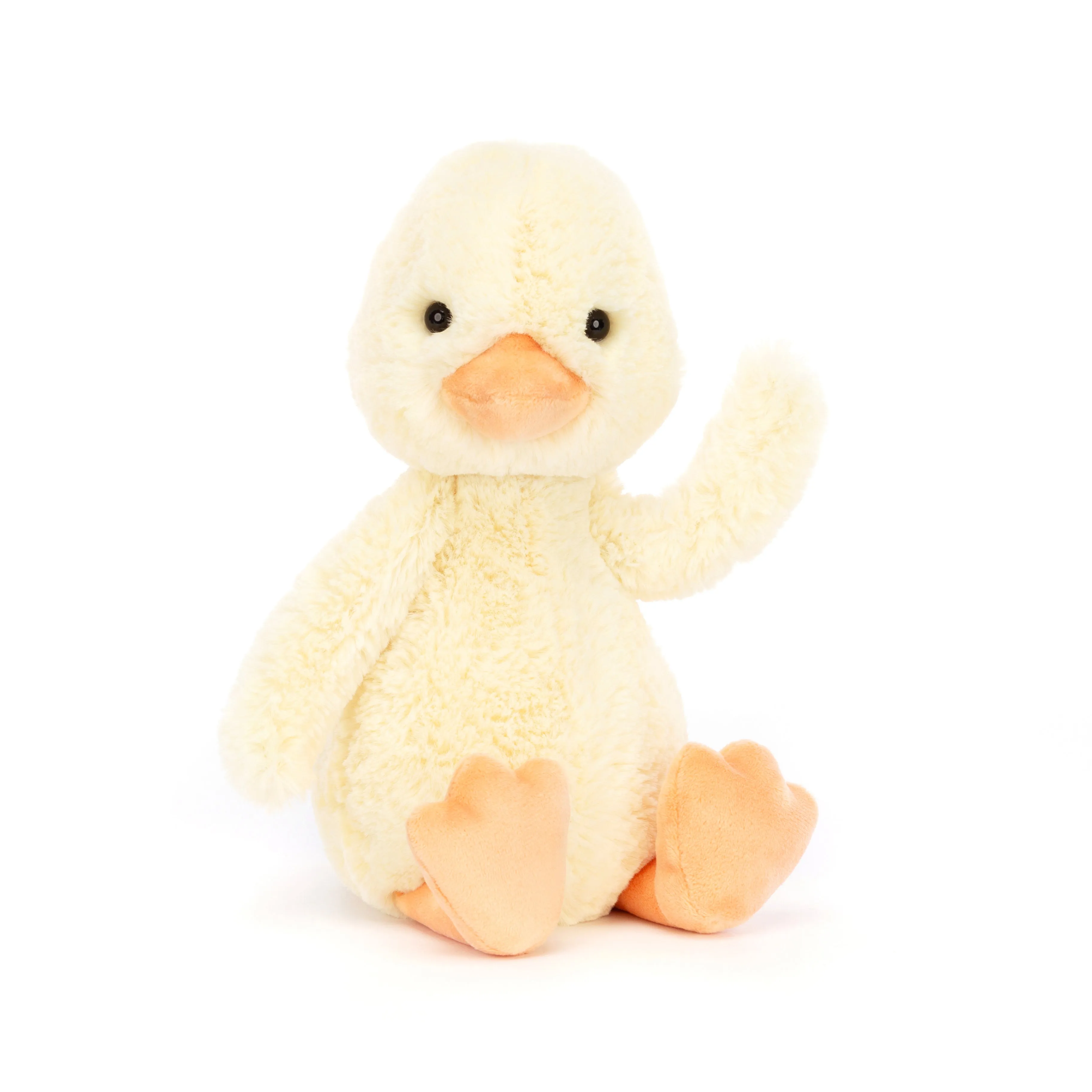 Bashful Duckling