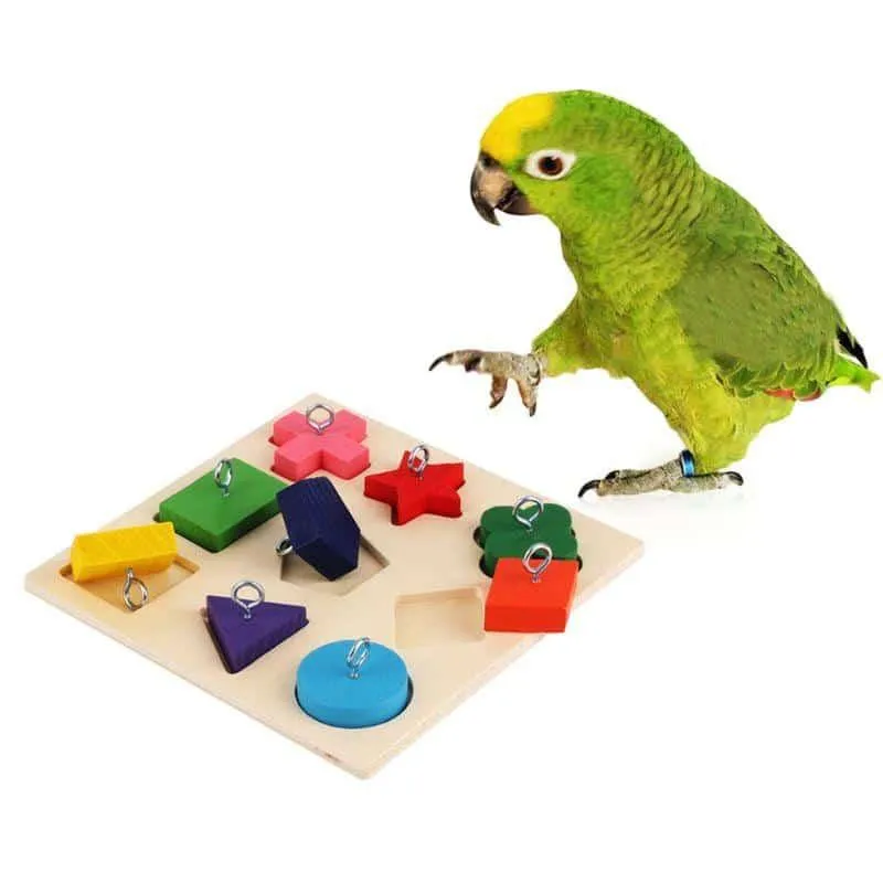 Bird's Educational Block Toy