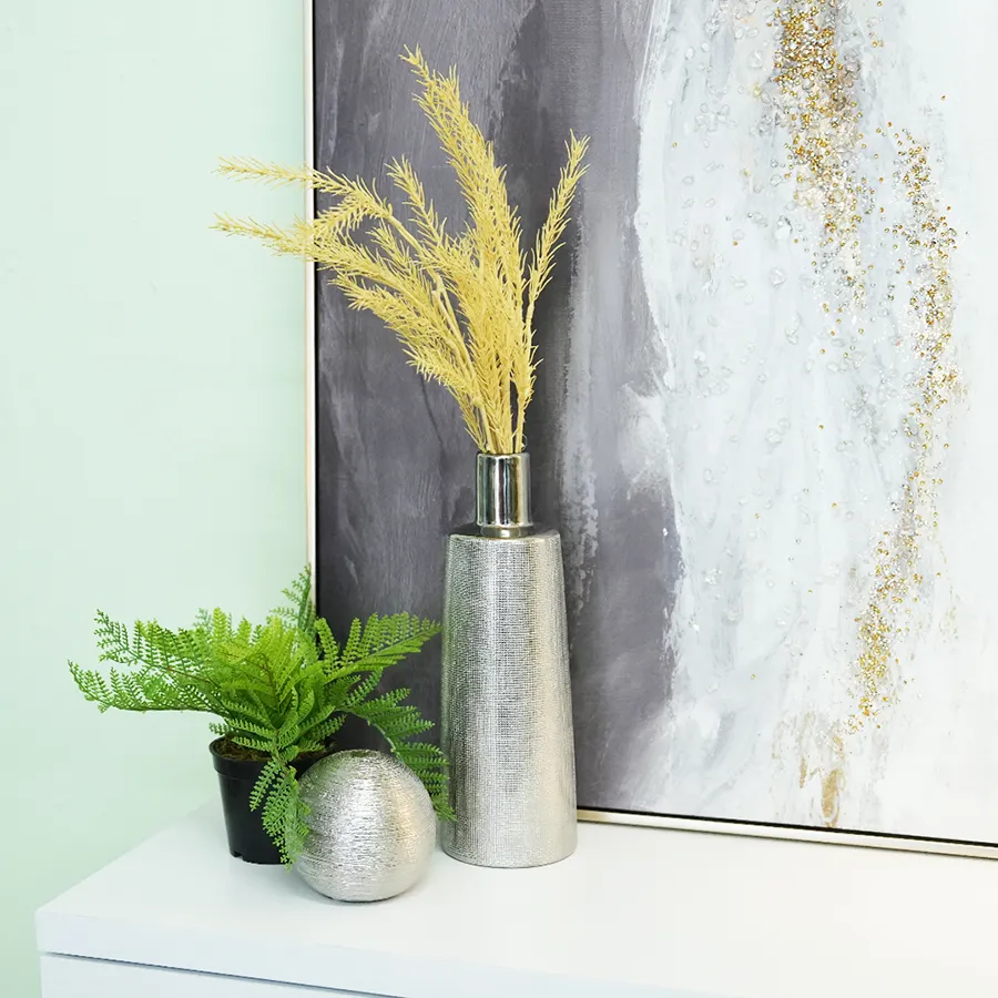 Boston Fern