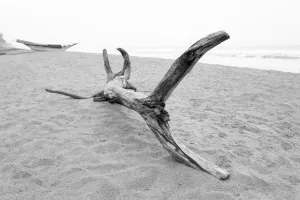 Driftwood Custom Art