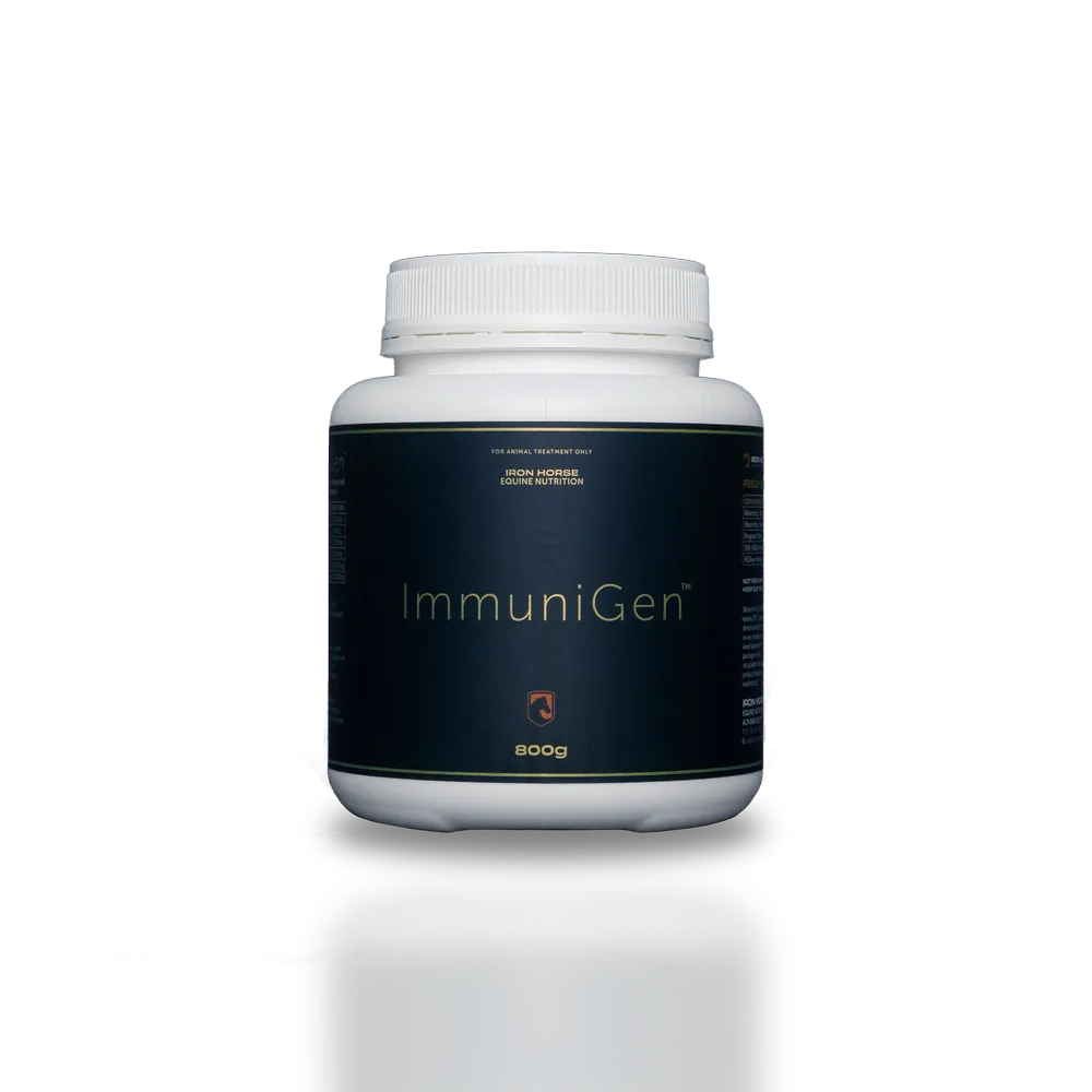 Iron Horse Equine Nutrition Immunigen