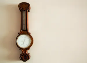 Victorian Walnut Cased Miniature Wheel Barometer by Riddel & Co Belfast